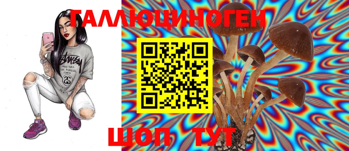 Псилоцибиновые грибы GOLDEN TEACHER Аксай