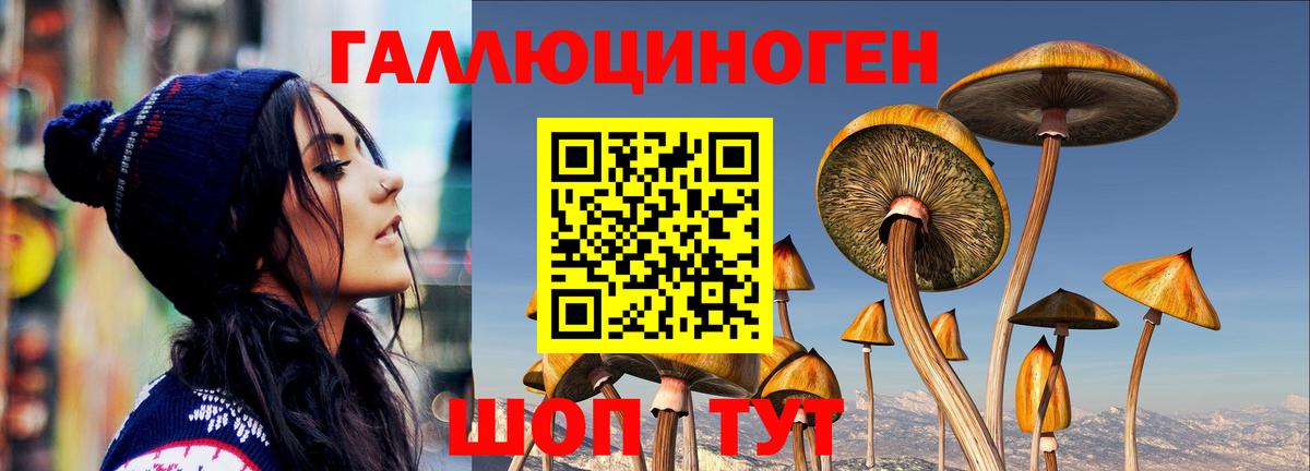 Аксай  Псилоцибиновые грибы Psilocybine cubensis  Вход с VPN 